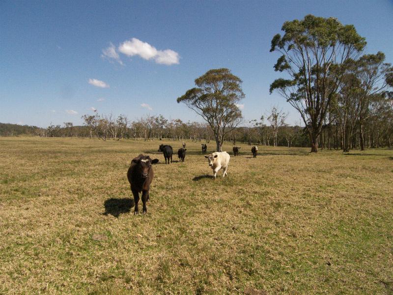 QUALITY ACRES Picture 1