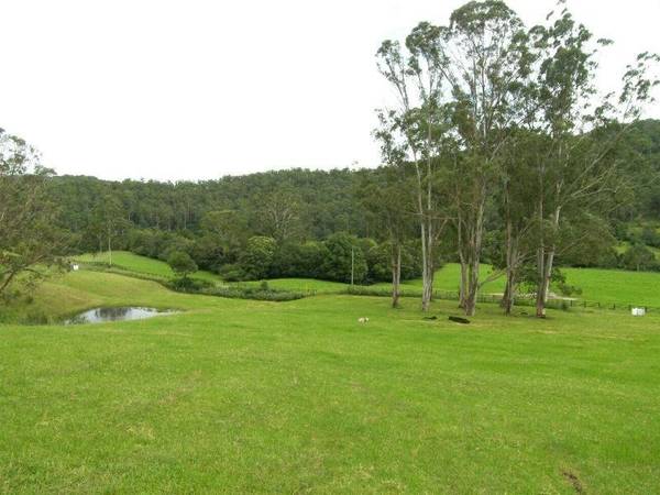 RURAL LIFESTYLE - BLANK CANVAS Picture
