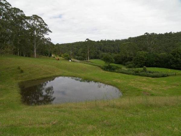 RURAL LIFESTYLE - BLANK CANVAS Picture