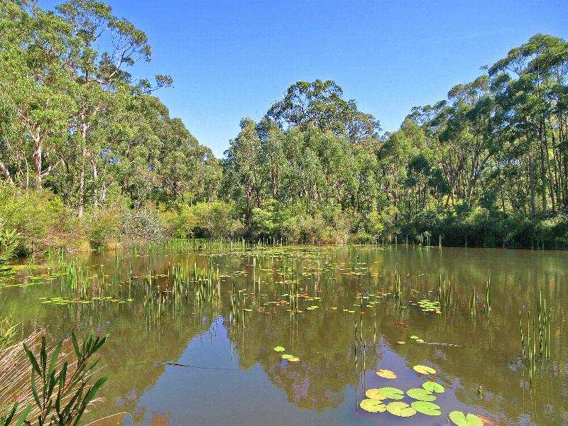 SPOIL YOURSELF WITH SOMETHING SPECIAL Picture 2