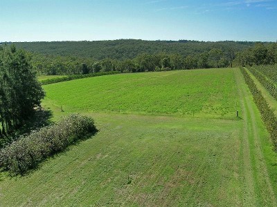 SPOIL YOURSELF WITH SOMETHING SPECIAL Picture