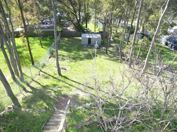 SUPERB POTENTIAL Picture 3