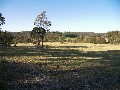 VIEWS, PASTURED, FENCED, ACRES Picture
