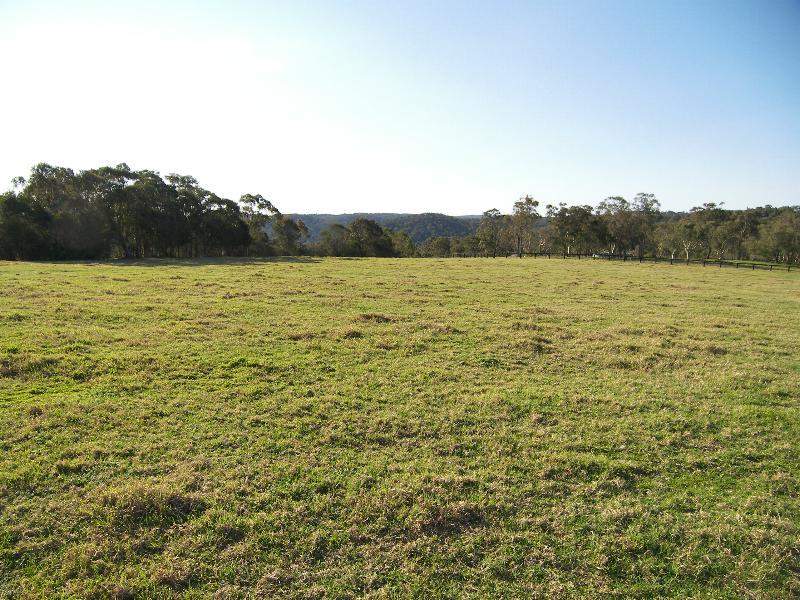 VIEWS, PASTURED, FENCED, ACRES Picture 2