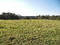 VIEWS, PASTURED, FENCED, ACRES Picture