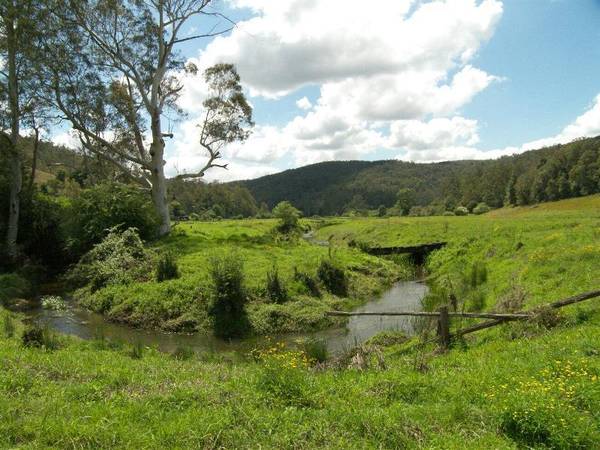 WHEN SIZE MATTERS Picture