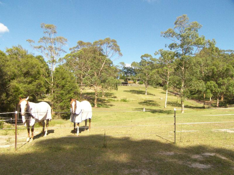 CLOSE TO IT ALL Picture 2