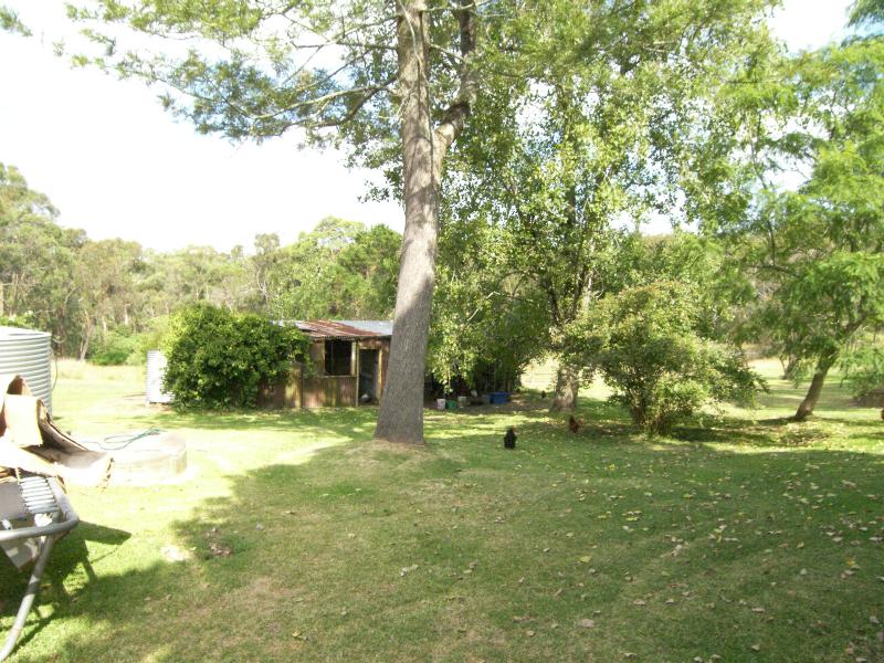 CENTRAL MANGROVE DELIGHT Picture 2