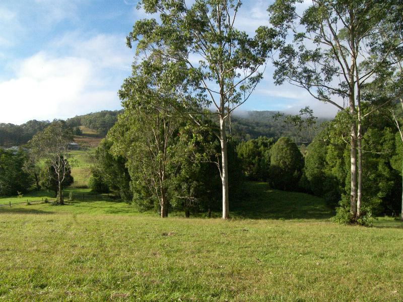 A COUNTRY RIPPER Picture 2