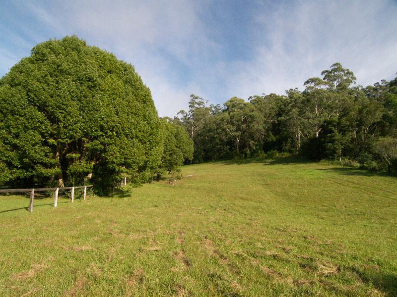 THE DREAM STARTS HERE Picture 2