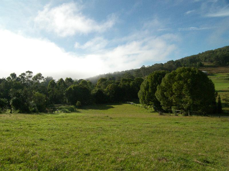 THE DREAM STARTS HERE Picture 3