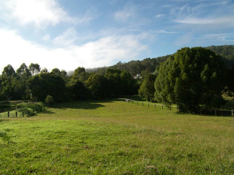 THE DREAM STARTS HERE Picture 1