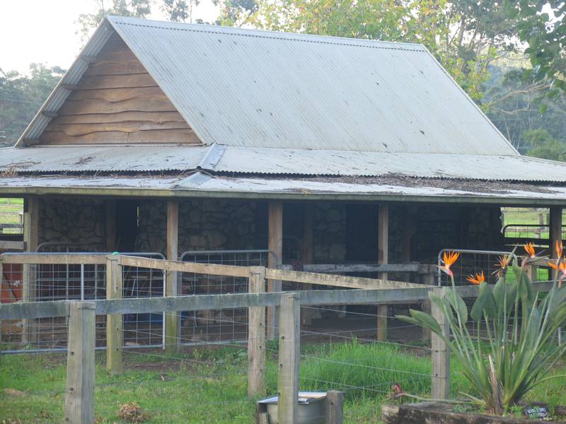 1410 Dooralong Rd Dooralong Picture 3