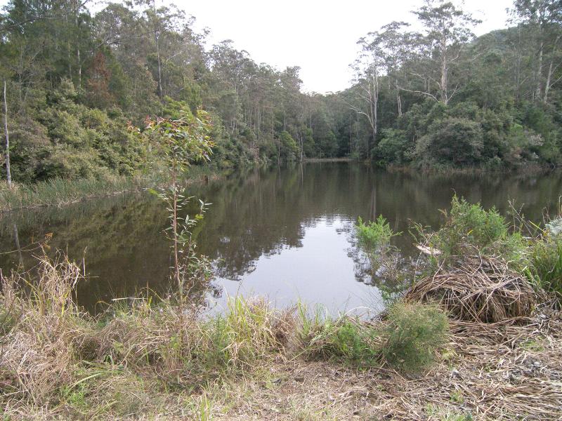 LIVE THE DREAM Picture 2