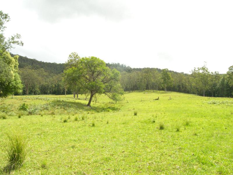 PARADISE IN A 36 ACRE PARCEL Picture 2