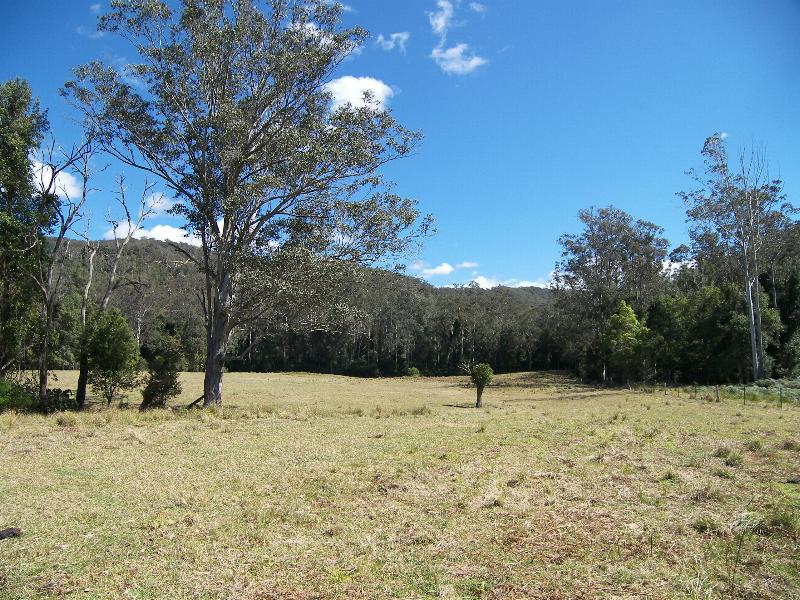 DRENCHED IN SUNSHINE Picture 2