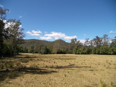 DRENCHED IN SUNSHINE Picture
