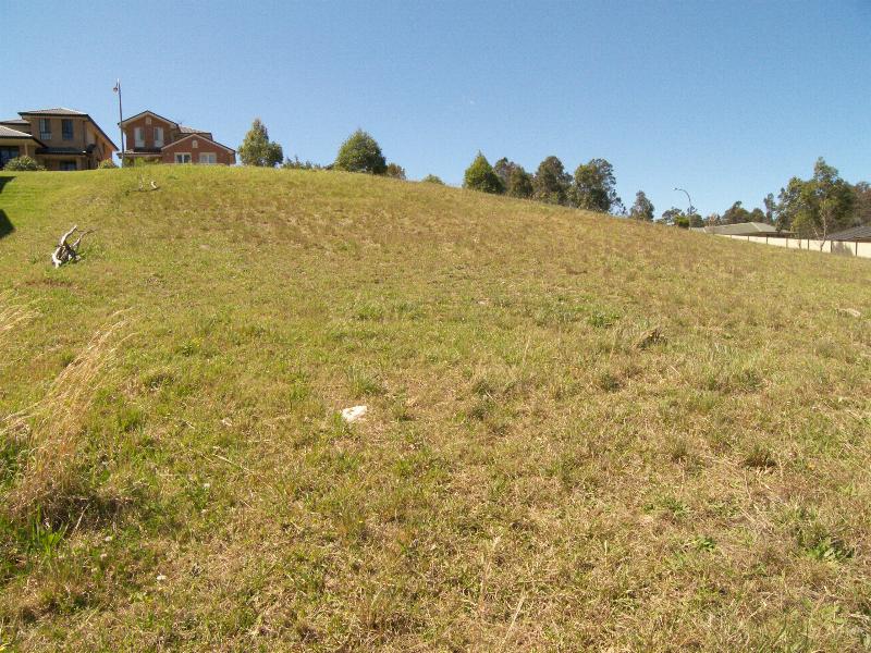 FOCUS ON THE VIEW Picture 2