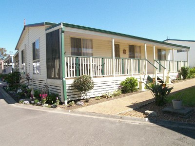 SETTLE IN STYLE Picture SETTLE IN STYLE Picture