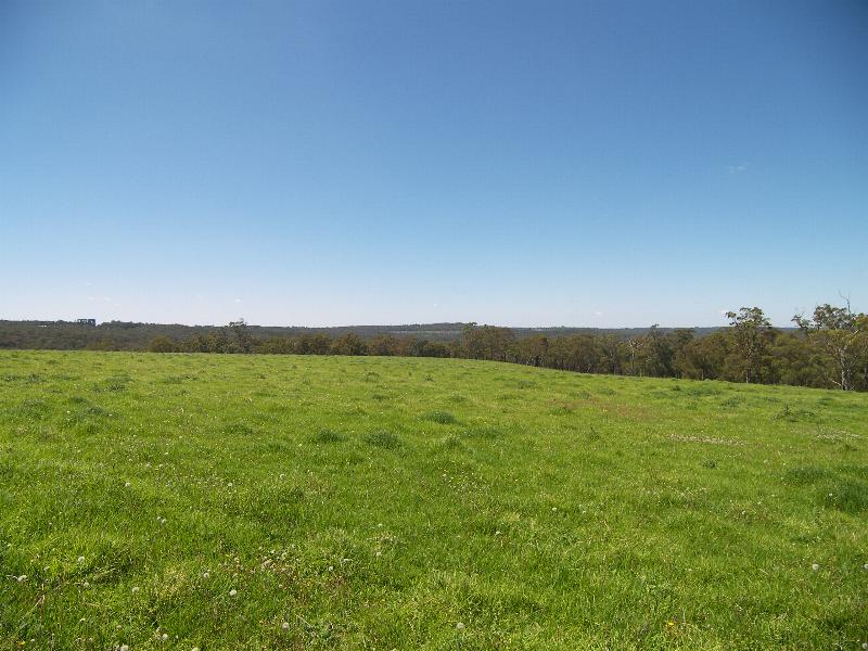 SIMPLY THE BEST Picture 2