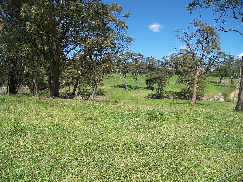 SIMPLY THE BEST Picture 3