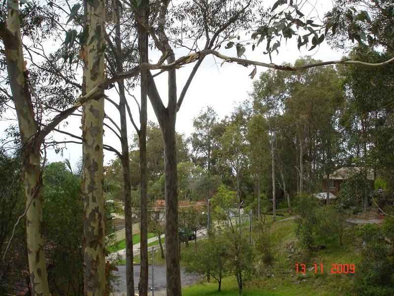 26 Wakehurst Drive, Wyong Picture 2