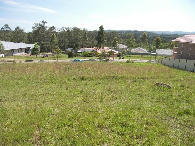 BLANK CANVAS Picture