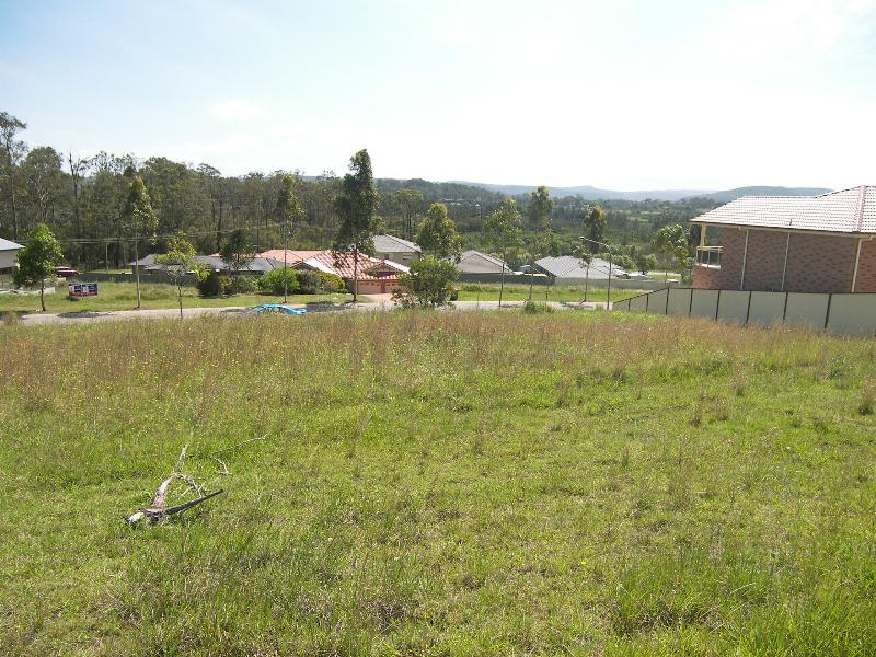 BLANK CANVAS Picture 2