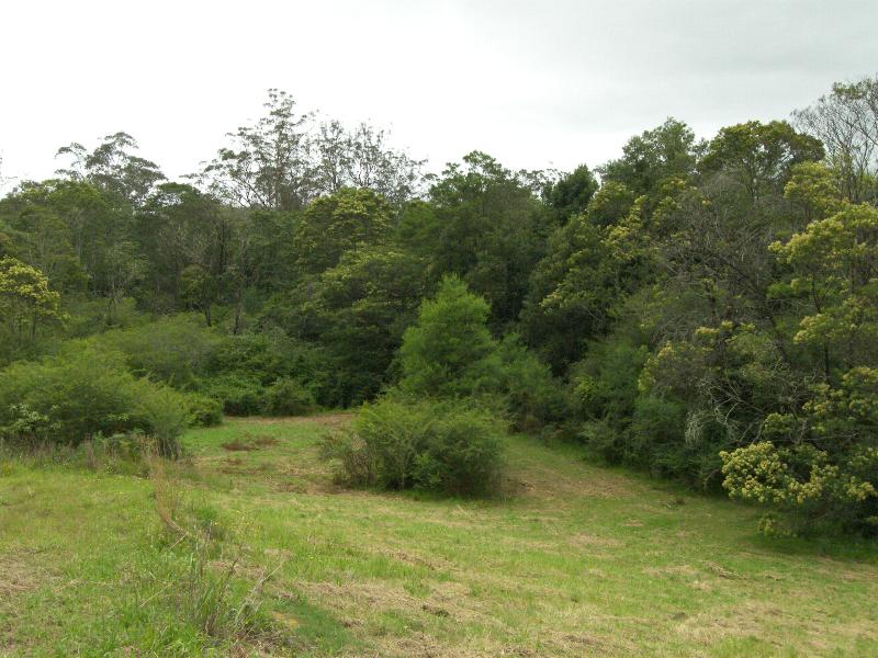 BUSH RETREAT Picture 2