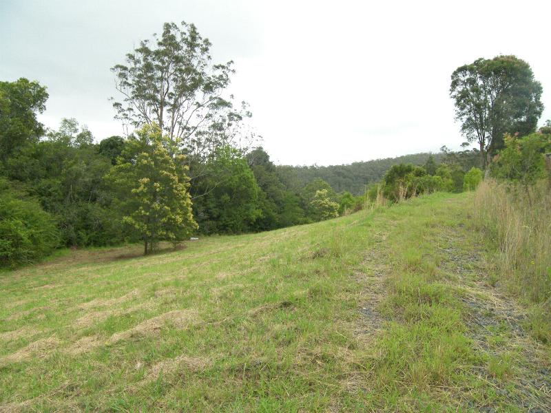 BUSH RETREAT Picture 3