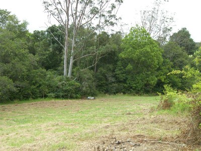 BUSH RETREAT Picture