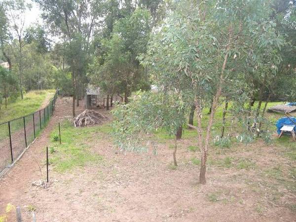 HUGE ELEVATED SITE Picture 2