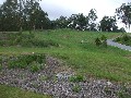 GIVE ME LAND LOTS OF LAND!!! 3 MINUTES TO ROBINA TOWN CENTRE!! - 2 Massive Vacant Blocks Available Picture