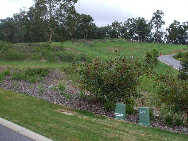 GIVE ME LAND LOTS OF LAND!!! 3 MINUTES TO ROBINA TOWN CENTRE!! - 2 Massive Vacant Blocks Available Picture 3