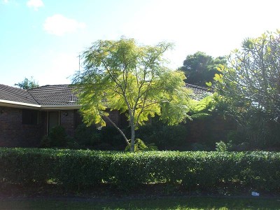Nestled in a quiet cul-de-sac- Ideal family home Picture Nestled in a quiet cul-de-sac- Ideal family home Picture