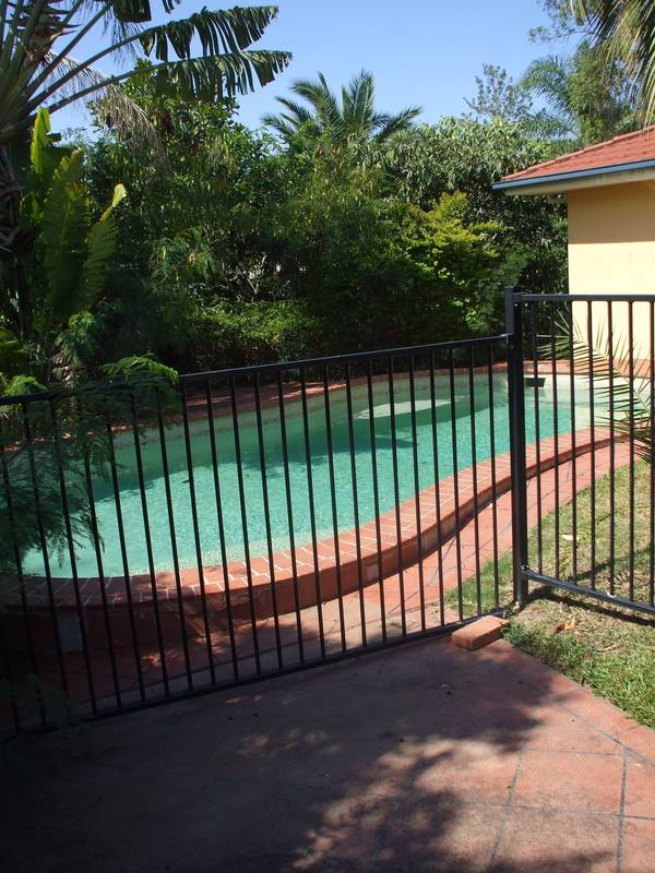 Available 22nd December 2009 Picture 1