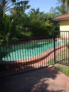 Available 22nd December 2009 Picture