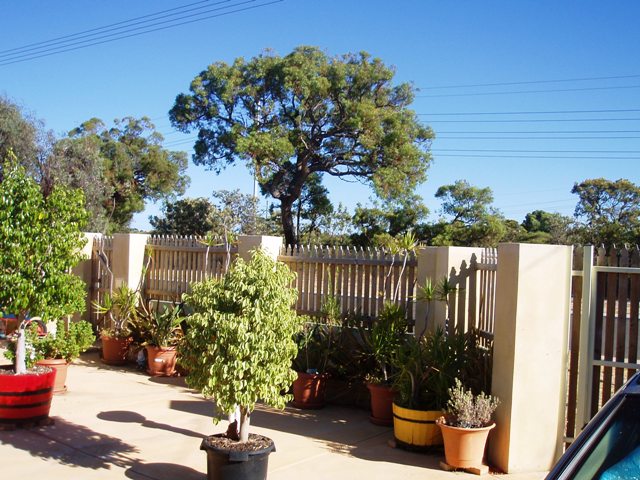 ARE YOU LOOKING FOR YOUR FIRST HOME OR YOUR FIRST INVESTMENT PROPERTY? Picture 3