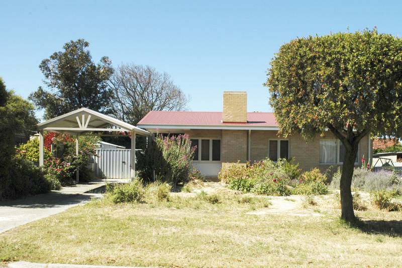 PAY FOR 1 AND GET 2 POTENTIAL BLOCKS Picture 1