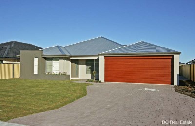 BRAND NEW! Picture BRAND NEW! Picture