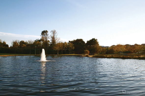 PICTURE PERFECT POSITION Picture 3