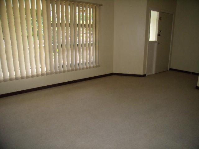 Available Immediately Picture 3