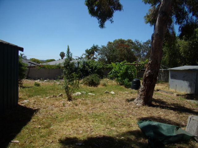 3x1 On A Large Block - Very Affordable Picture 3