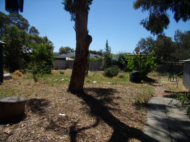 3x1 On A Large Block - Very Affordable Picture 2