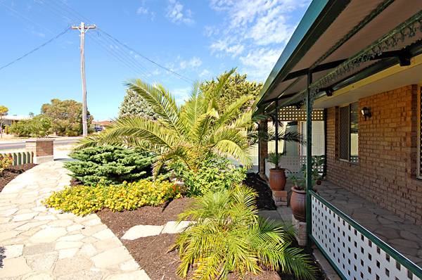 New To Market Picture 2