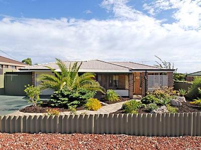 New To Market Picture