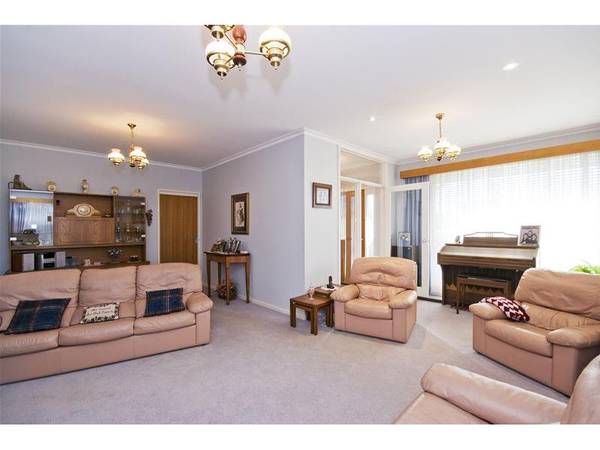 A Rare and Special Find Picture 2