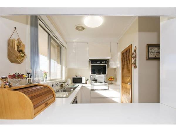 A Rare and Special Find Picture 3