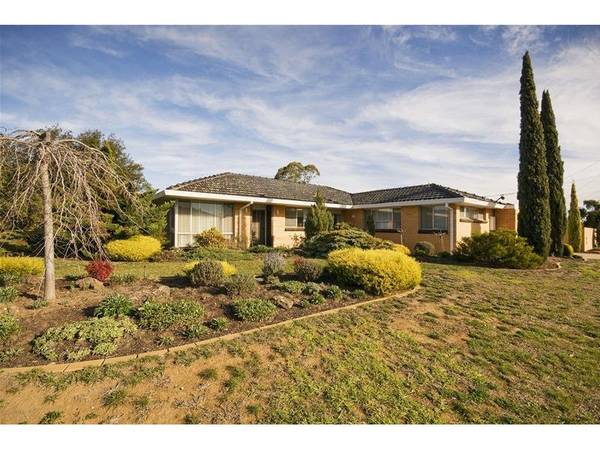 A Rare and Special Find Picture 1