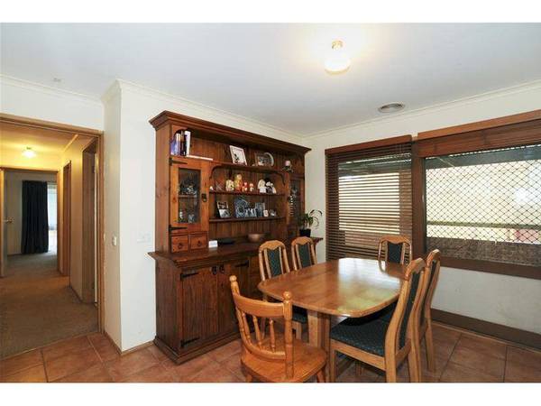 START WITH THIS ONE! Picture 3